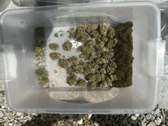 В Саратове у оптового закладчика нашли 3 кг наркотиков