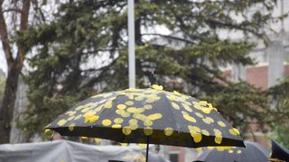 Погода в Саратовской области: дождь и до +34 градусов в четверг