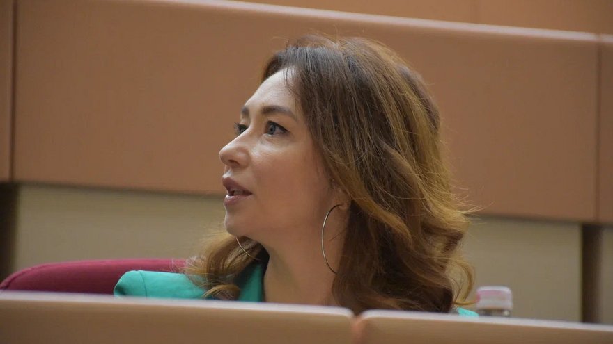 Депутат Литневская: террористы-психологи вербуют подростков через сервис для знакомств Дайвинчик