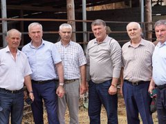 Саратовская область подарила 140 коров Дагестану