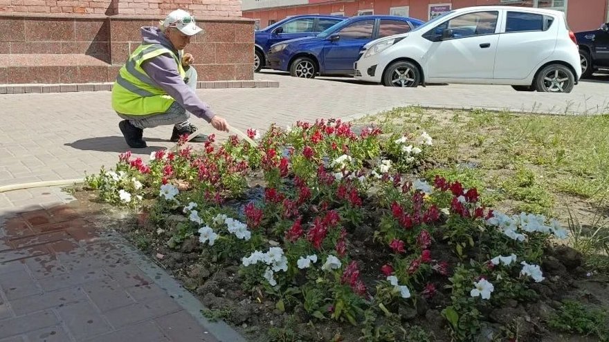 В Энгельсе высадили больше 60 тысяч цветов