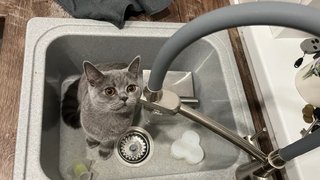 Масштабное отключение воды ждет жителей Заводского района Саратова