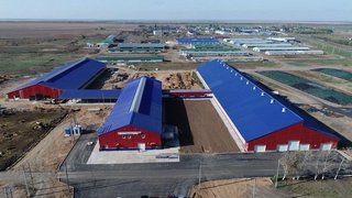 Под Марксом открыли новый молочный комплекс за 327 миллионов рублей