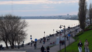 Мэрия Саратова закупает саженцы деревьев на набережную, в Липки и сад Радищева