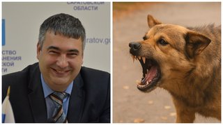 Саратовский замминистра Грайфер признался, что лечился после укуса собаки