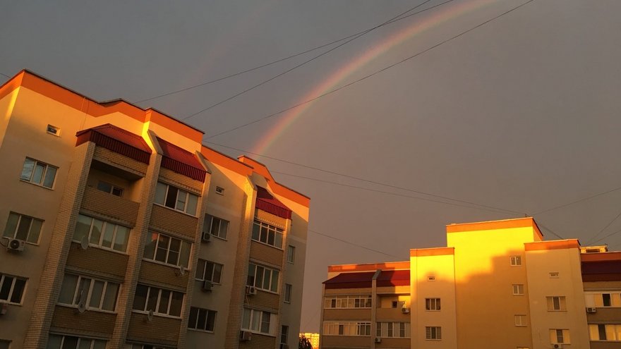 Погода в Саратовской области: прохладная пятница