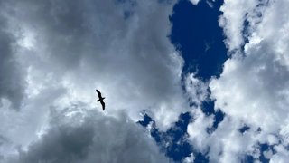 Погода в Саратовской области: дождливое теплое воскресенье