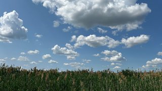 Жителям Саратовской области пообещали жару до +35