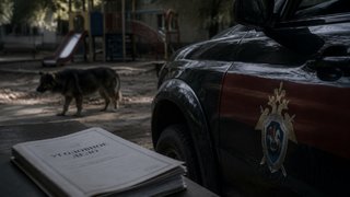 В Саратове возбудили дело после нападения бродячего пса на детей