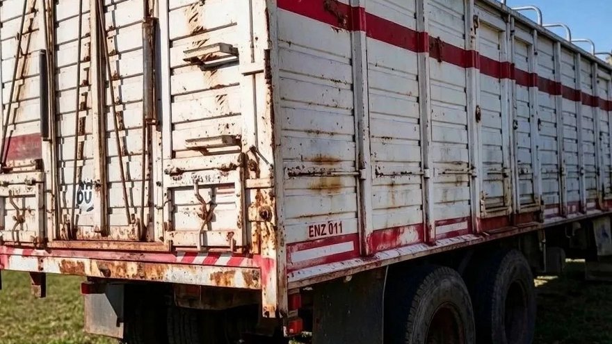 В Саратовской области задержали 200 овец-нелегалов