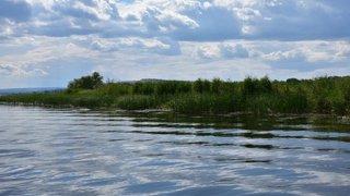 Саратовские врачи борются за жизнь ребенка, который едва не утонул