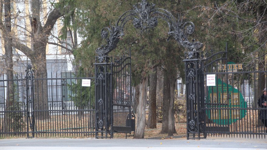 В Саратове из-за непогоды закрыли три парка и сад Липки
