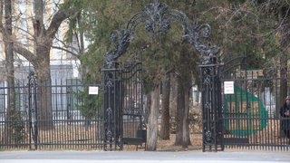 В Саратове из-за непогоды закрыли три парка и сад Липки
