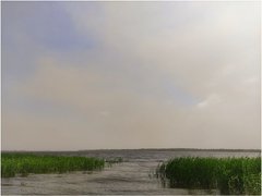 Ученый рассказал о причинах пыльной бури в Саратовской области