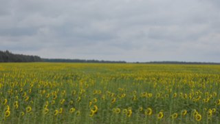 Компания РуссНефть выплатила 5,7 млн рублей за загрязнение земли нефтепродуктами