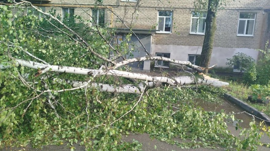 Рухнувшие деревья и разбитые машины: жители Саратовской области опубликовали фото с последствиями природной стихии
