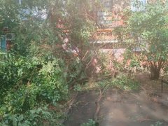 Рухнувшие деревья и разбитые машины: жители Саратовской области опубликовали фото с последствиями природной стихии