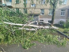 Рухнувшие деревья и разбитые машины: жители Саратовской области опубликовали фото с последствиями природной стихии