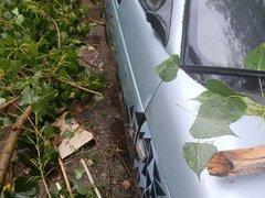 Рухнувшие деревья и разбитые машины: жители Саратовской области опубликовали фото с последствиями природной стихии