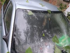 Рухнувшие деревья и разбитые машины: жители Саратовской области опубликовали фото с последствиями природной стихии