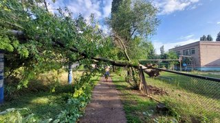 Рухнувшие деревья и разбитые машины: жители Саратовской области опубликовали фото с последствиями природной стихии