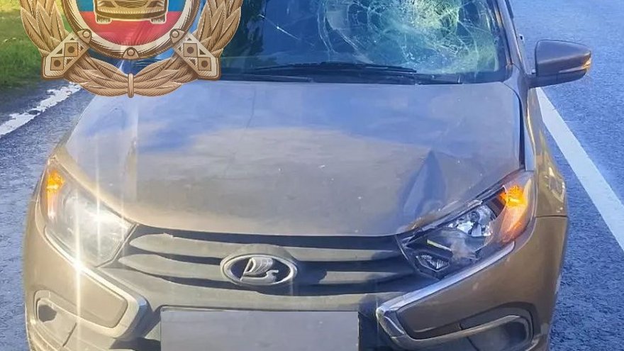 В Саратове за сутки сбили трех пешеходов