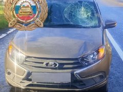 В Саратове за сутки сбили трех пешеходов