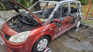 В Энгельсе у детской площадки сгорела иномарка