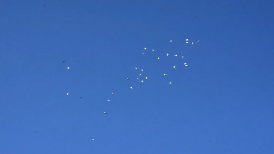 Погода в Саратовской области: ясное жаркое воскресенье