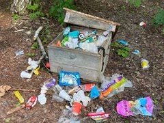 Дырявая мельница, дороги, туалеты и мусор: жители пожаловались на благоустройство села Лох в Саратовской области