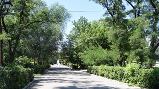 Мэр поручил сделать Детский парк максимально ухоженным к 90-летию