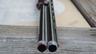 В Саратовской области разрешили убить 1,1 тысячи оленей и 3,8 тысячи косуль