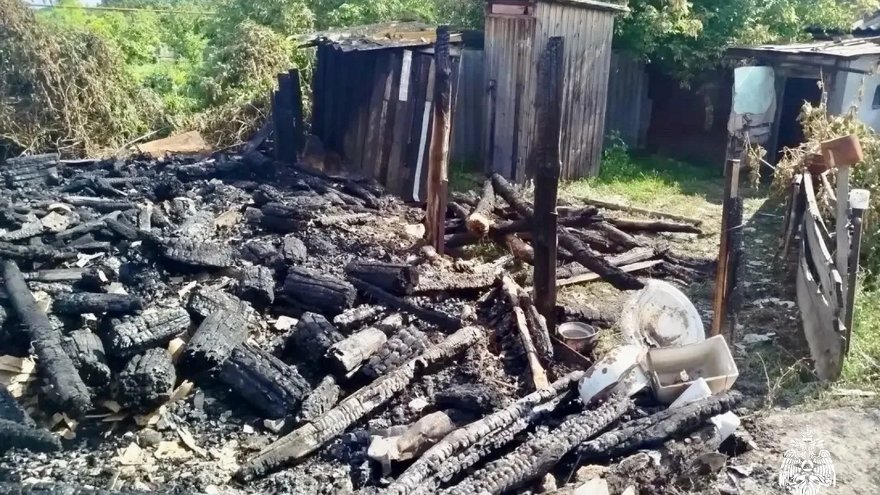Под Хвалынском в 80-метровом пожаре погибли 17 кур