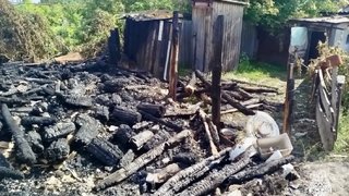 Под Хвалынском в 80-метровом пожаре погибли 17 кур