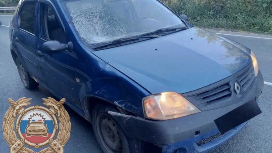 В Саратовской области автомобилисты сбили трех пешеходов