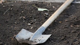 Уголовник застал бывшую сожительницу с мужчиной и ударил ее лопатой