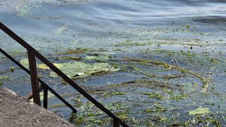 Погода в Саратовской области: дождь и 38-градусная жара