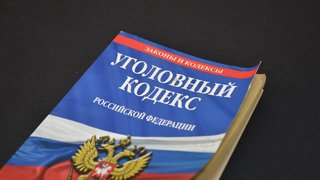 Названы подробности уголовного дела московского адвоката Еруслановой