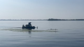 В Саратове очистили Волгу у набережной от мусора и водорослей