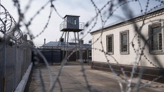 В Саратовской области сидят за решеткой 130 женщин-убийц
