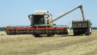 Замминистра: Саратовская область лидирует в сборе зерна в ПФО