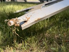 В Энгельсе вандалы сломали макеты пешеходов