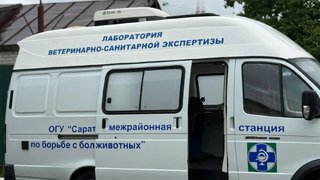 В Саратовской области за месяц решили уничтожить больше 10 тонн продуктов