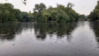 Погода в Саратовской области: дождь и похолодание в пятницу 