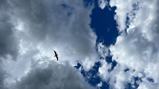 Погода в Саратовской области: до +25 градусов и ветер в субботу