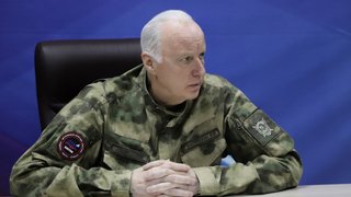Бастрыкину доложат о нападении собаки на девочку в Саратове
