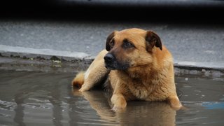 Погода в Саратовской области: до +36 градусов в среду