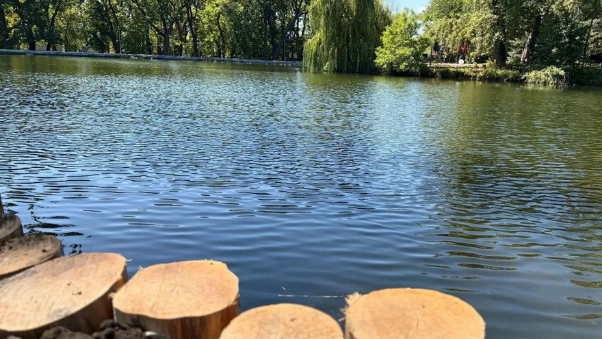 Благоустройство Городского парка в Саратове завершено на 91%