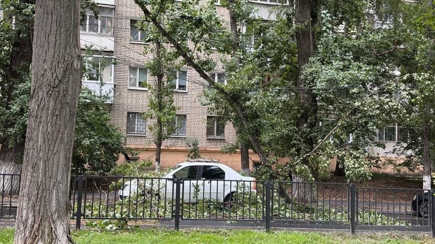 В центре Саратова легковушку завалило оторвавшимися ветвями