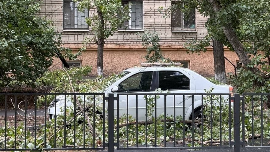 В центре Саратова легковушку завалило оторвавшимися ветвями